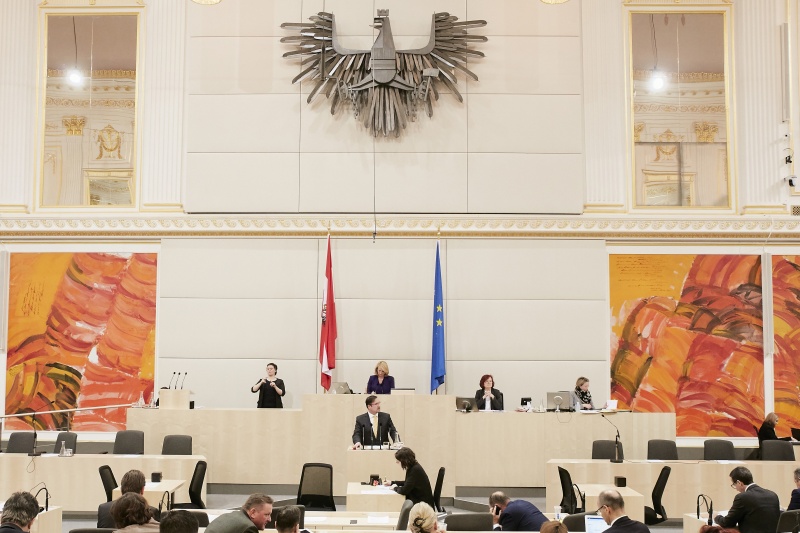 Nationalratsabgeordneter Christian Hafenecker (F) am Rednerpult