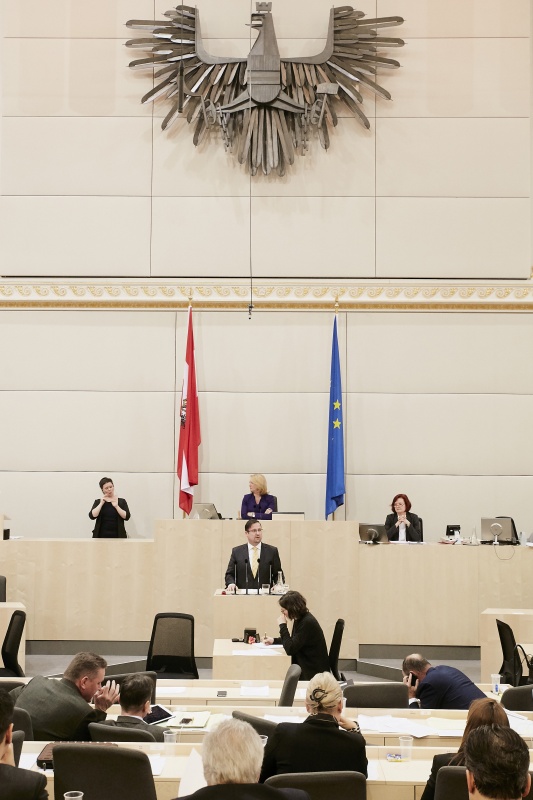 Nationalratsabgeordneter Christian Hafenecker (F) am Rednerpult