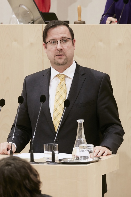 Nationalratsabgeordneter Christian Hafenecker (F) am Rednerpult