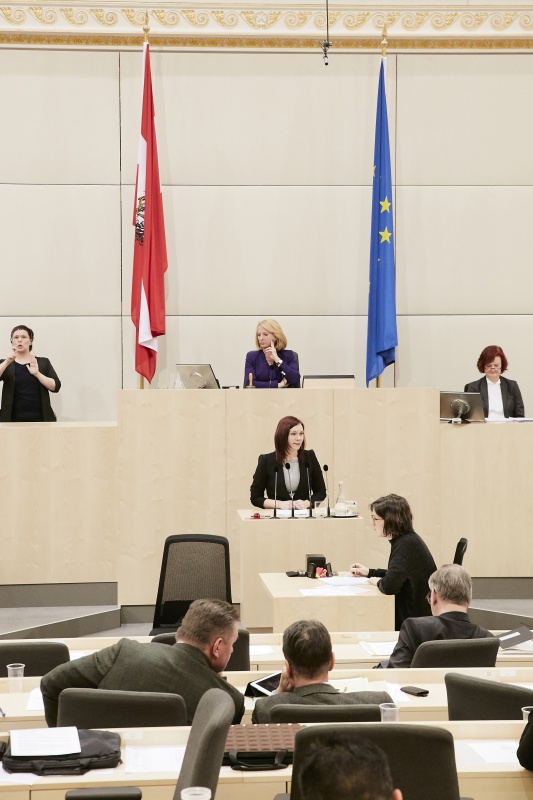 Nationalratsabgeordnete Eva-Maria Himmelbauer (V) am Rednerpult