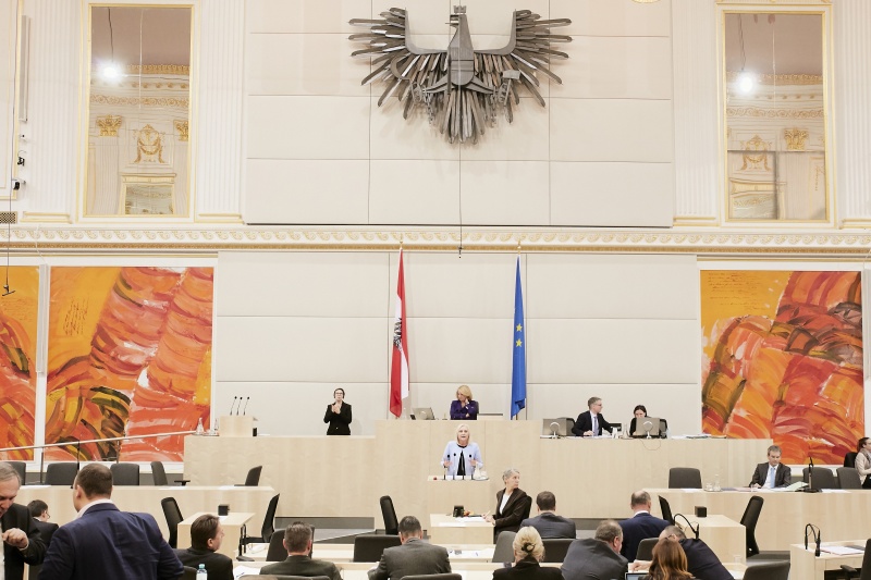 Nationalratsabgeordnete Angelika Winzig (V) am Rednerpult