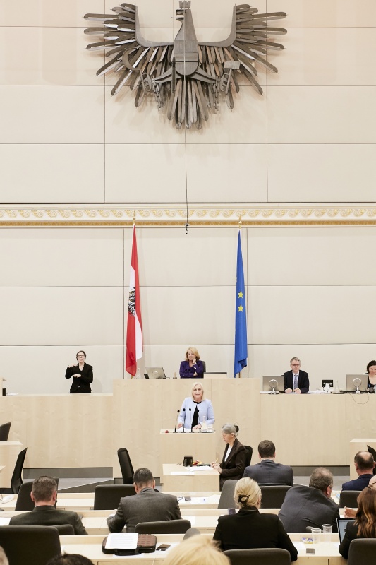 Nationalratsabgeordnete Angelika Winzig (V) am Rednerpult