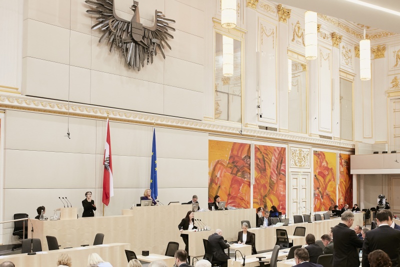 Nationalratsabgeordnete Karin Doppelbauer (N) am Rednerpult