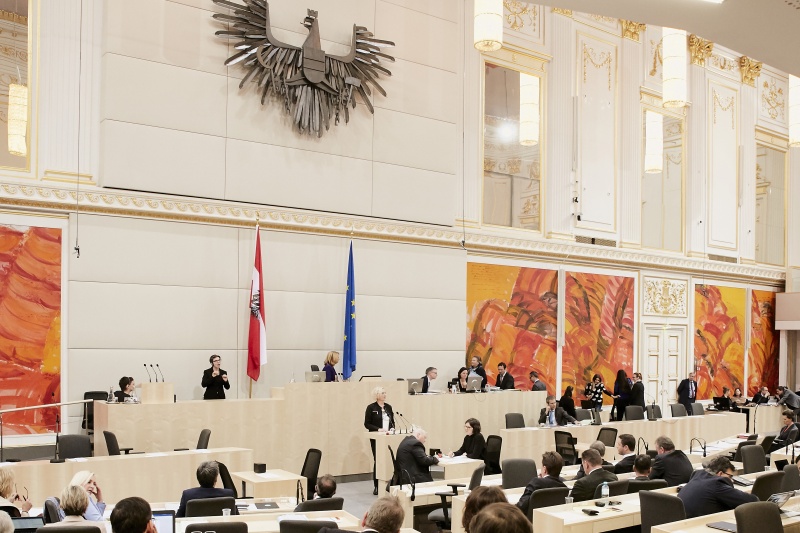 Nationalratsabgeordnete Karin Greiner (S) am Rednerpult