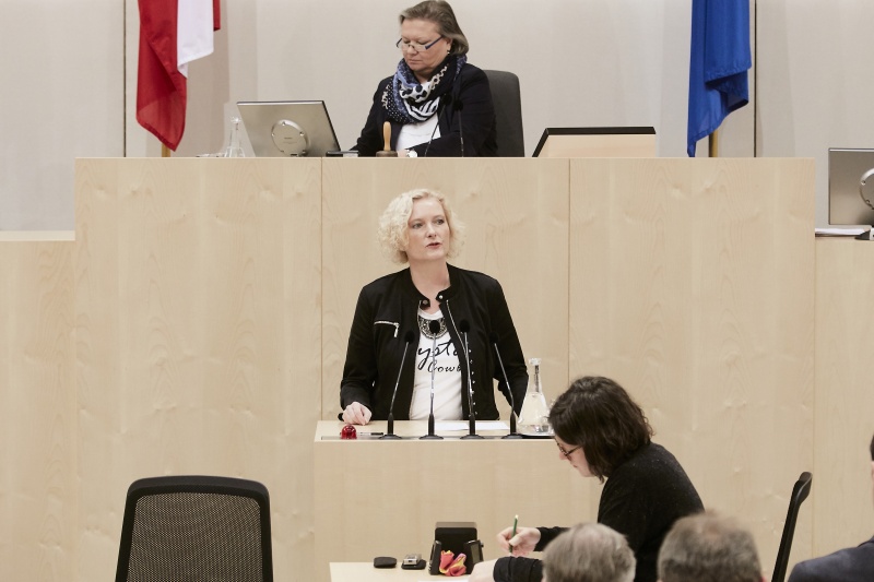 Nationalratsabgeordnete Karin Greiner (S) am Rednerpult