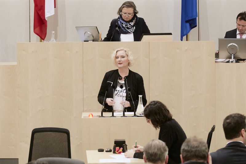 Nationalratsabgeordnete Karin Greiner (S) am Rednerpult