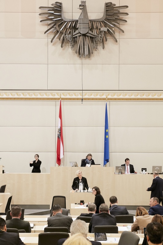 Nationalratsabgeordnete Karin Greiner (S) am Rednerpult