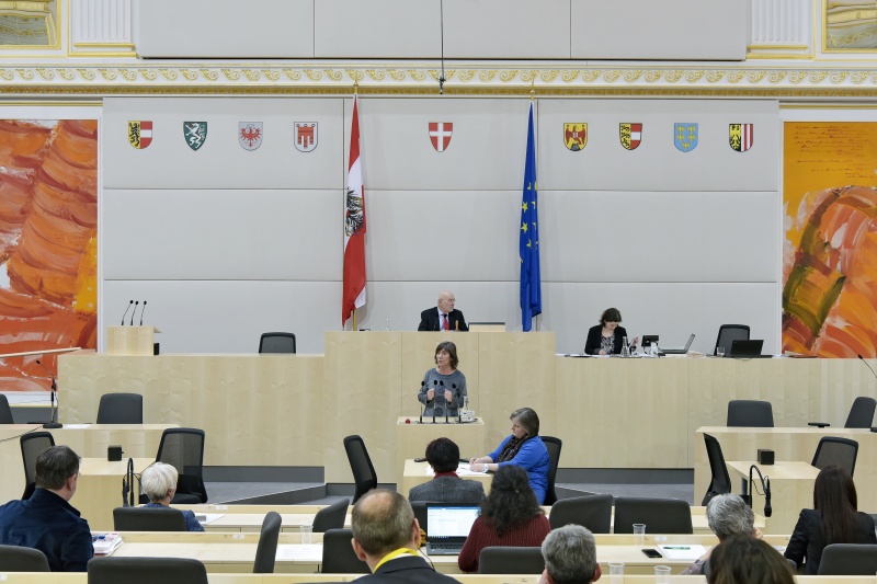 Landtagsabgeordnete Birgit Hebein