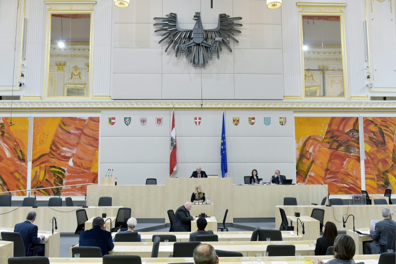 Nationalratsabgeordnete Eva-Maria Holzleitner (S)