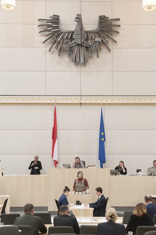 Am Rednerpult: Nationalratsabgeordnete Petra Bayr (S). Am Präsidium: Nationalratspräsidentin Anneliese Kitzmüller (F)