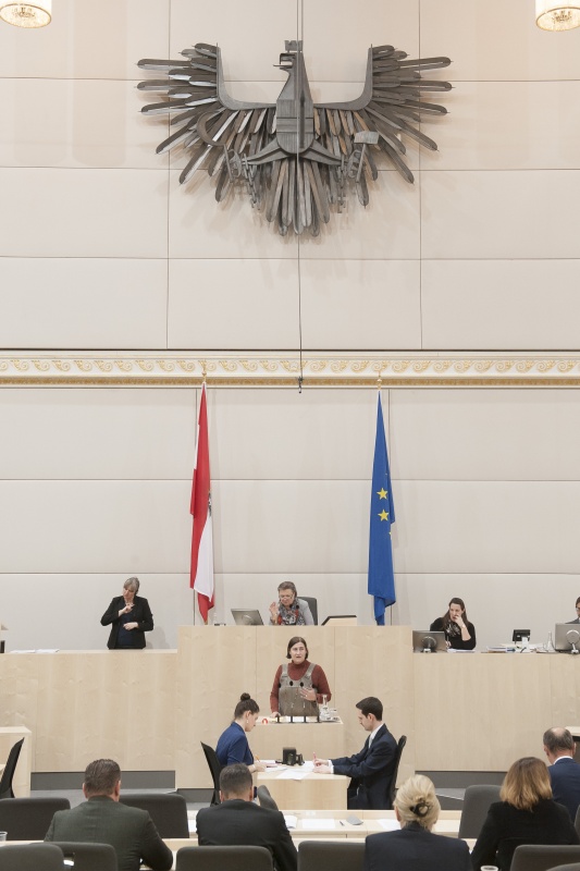 Am Rednerpult: Nationalratsabgeordnete Petra Bayr (S). Am Präsidium: Nationalratspräsidentin Anneliese Kitzmüller (F)