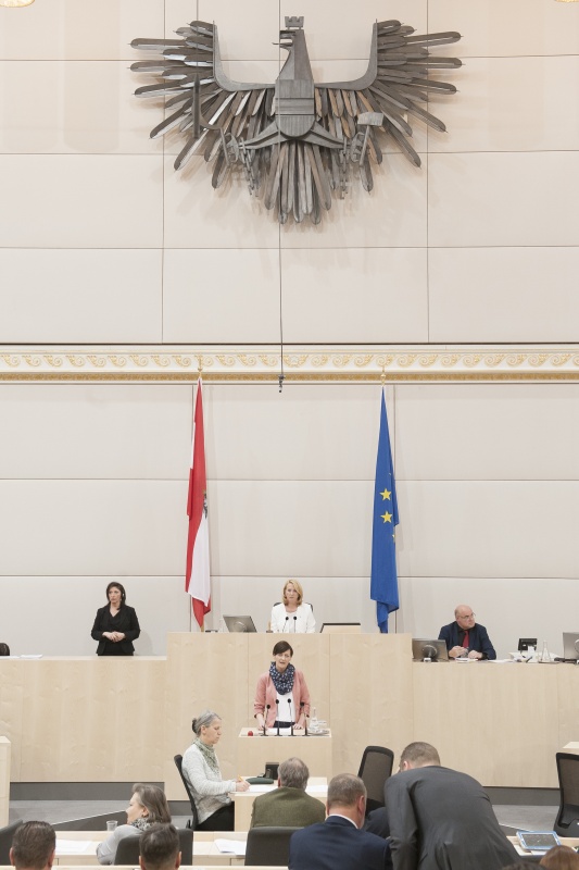 Am Rednerpult: Nationalratsabgeordnete Sabine Schatz (S). Am Präsidium: Nationalratspräsidentin Doris Bures (S)