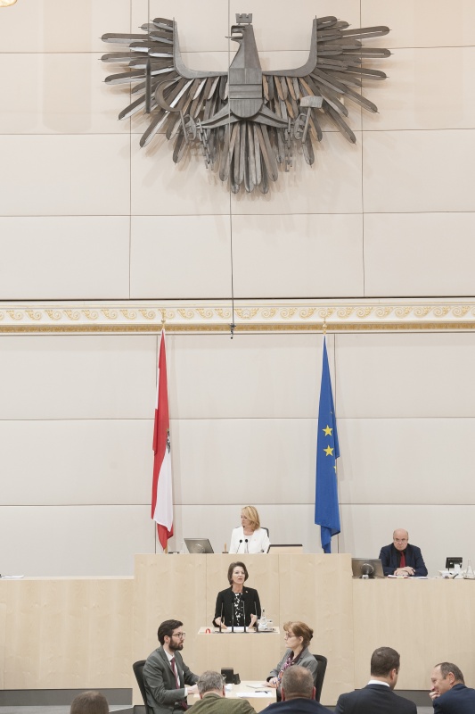 Am Rednerpult: Nationalratsabgeordnete Maria Smodics-Neumann (V). Am Präsidium: Nationalratspräsidentin Doris Bures (S)