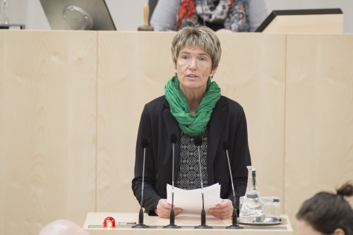 Am Rednerpult: Nationalratsabgeordnete Martina Diesner-Wais (V)