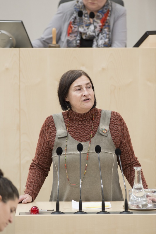 Am Rednerpult: Nationalratsabgeordnete Petra Bayr (S)