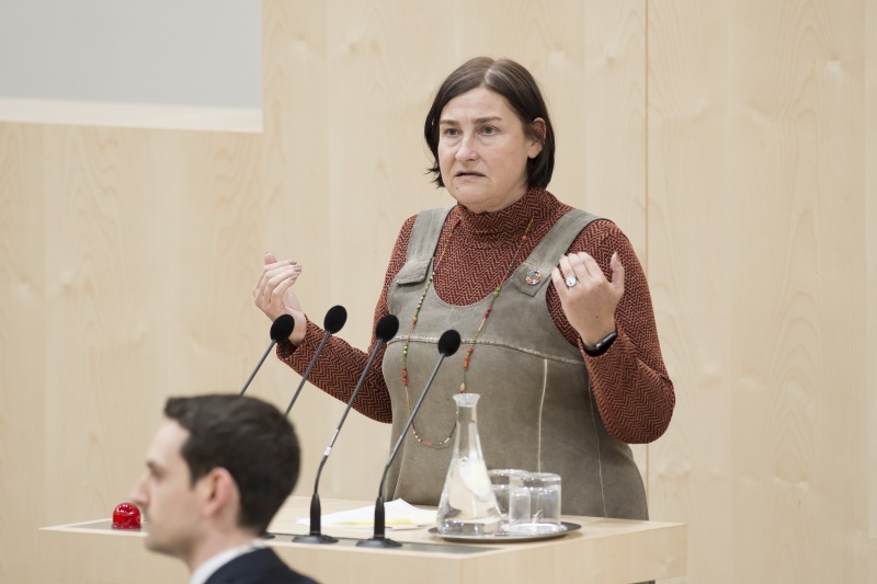 Am Rednerpult: Nationalratsabgeordnete Petra Bayr (S)