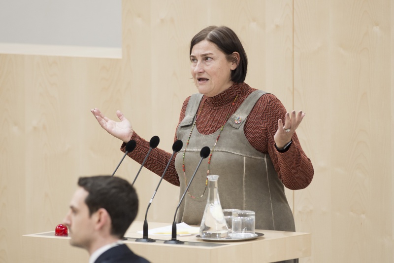 Am Rednerpult: Nationalratsabgeordnete Petra Bayr (S)