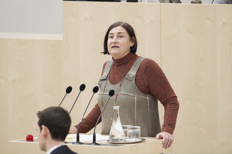 Am Rednerpult: Nationalratsabgeordnete Petra Bayr (S)