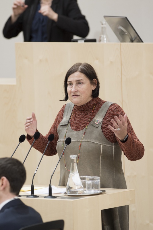 Am Rednerpult: Nationalratsabgeordnete Petra Bayr (S)