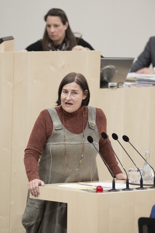 Am Rednerpult: Nationalratsabgeordnete Petra Bayr (S)