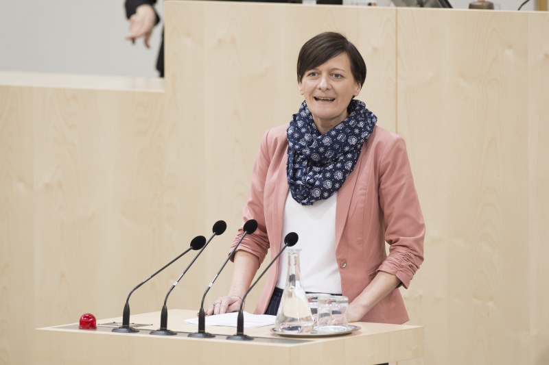 Am Rednerpult: Nationalratsabgeordnete Sabine Schatz (S)