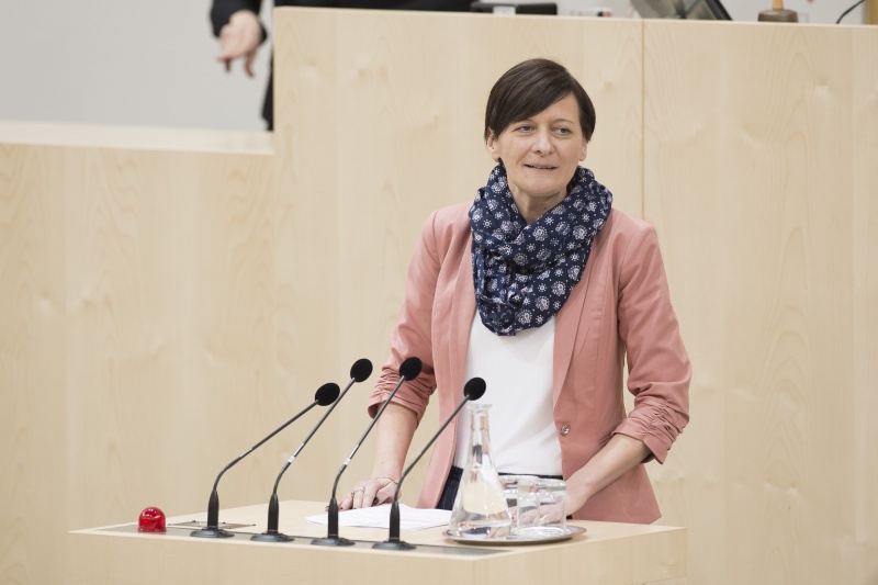 Am Rednerpult: Nationalratsabgeordnete Sabine Schatz (S)