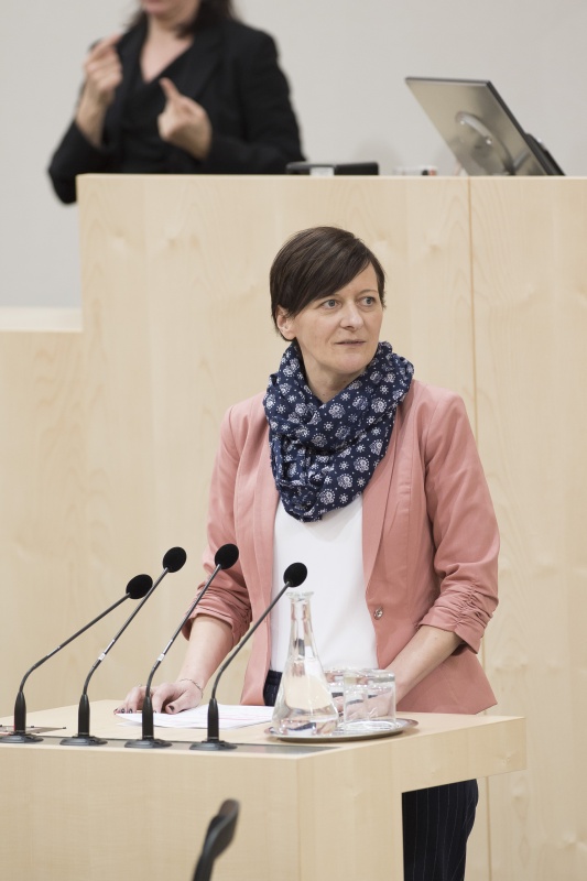 Am Rednerpult: Nationalratsabgeordnete Sabine Schatz (S)