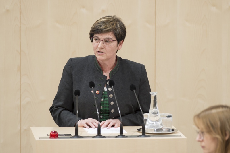 Am Rednerpult: Nationalratsabgeordnete Birgit Silvia Sandler (S)