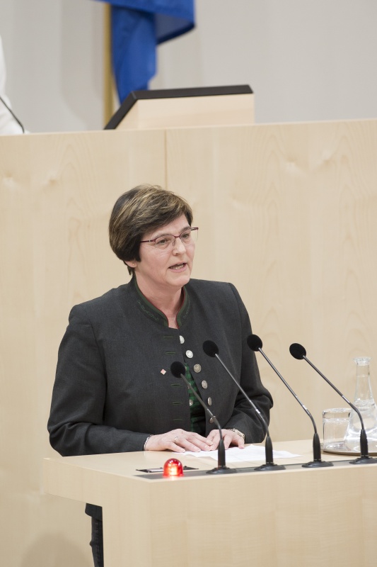 Am Rednerpult: Nationalratsabgeordnete Birgit Silvia Sandler (S)