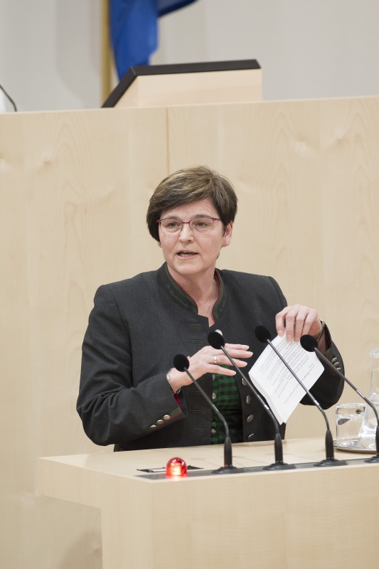 Am Rednerpult: Nationalratsabgeordnete