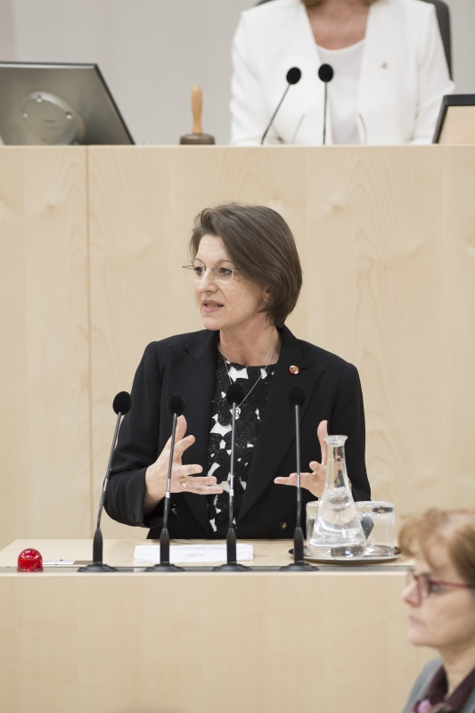 Am Rednerpult: Nationalratsabgeordnete Maria Smodics-Neumann (V)