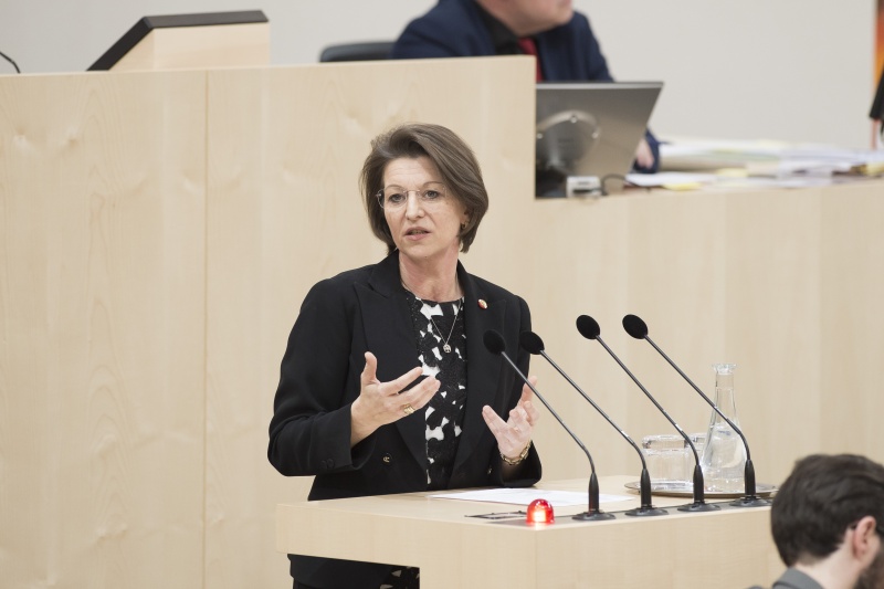 Am Rednerpult: Nationalratsabgeordnete Maria Smodics-Neumann (V)