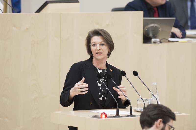 Am Rednerpult: Nationalratsabgeordnete Maria Smodics-Neumann (V)