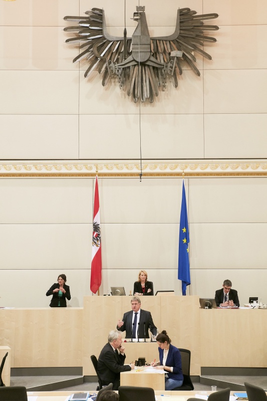 Nationalratsabgeordneter Maximilian Linder (F)