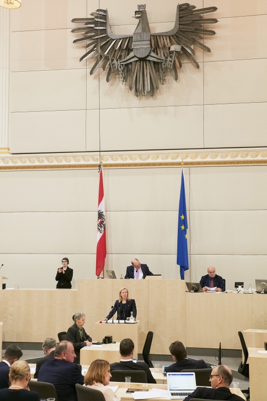 Nationalratsabgeordnete Verena Nussbaum (S)