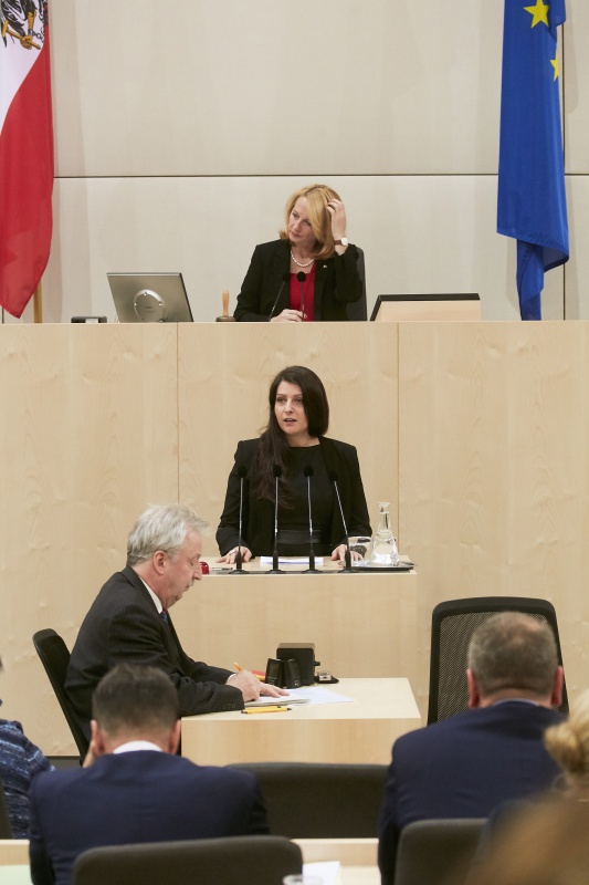 Nationalratsabgeordnete Muna Duzdar (S)