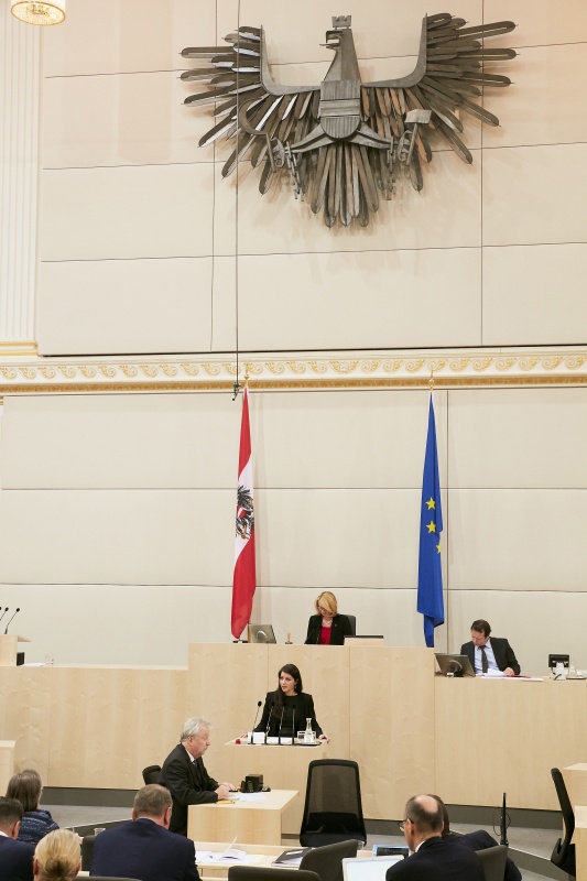 Nationalratsabgeordnete Muna Duzdar (S)