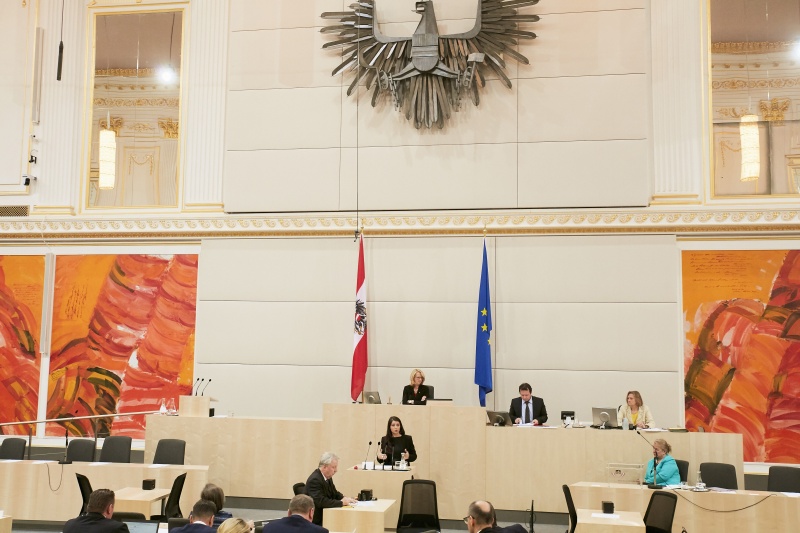 Nationalratsabgeordnete Muna Duzdar (S)