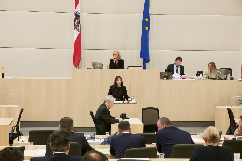 Nationalratsabgeordnete Muna Duzdar (S)