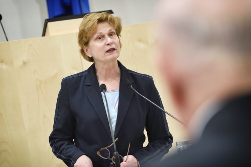 Begrüßung druch Parlamentsvizedirektorin Susanne Janistyn-Novák