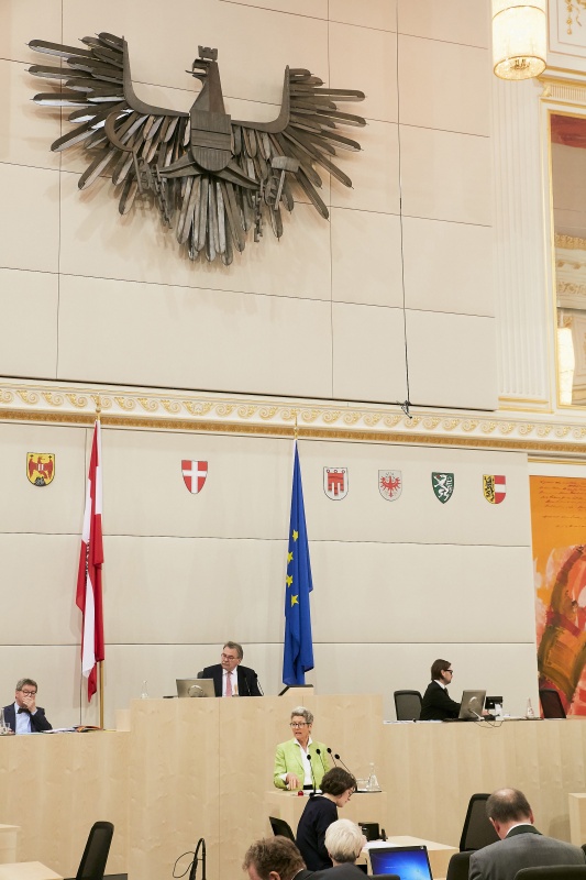 Bundesrätin Heidelinde Reiter (OF) am Rednerpult