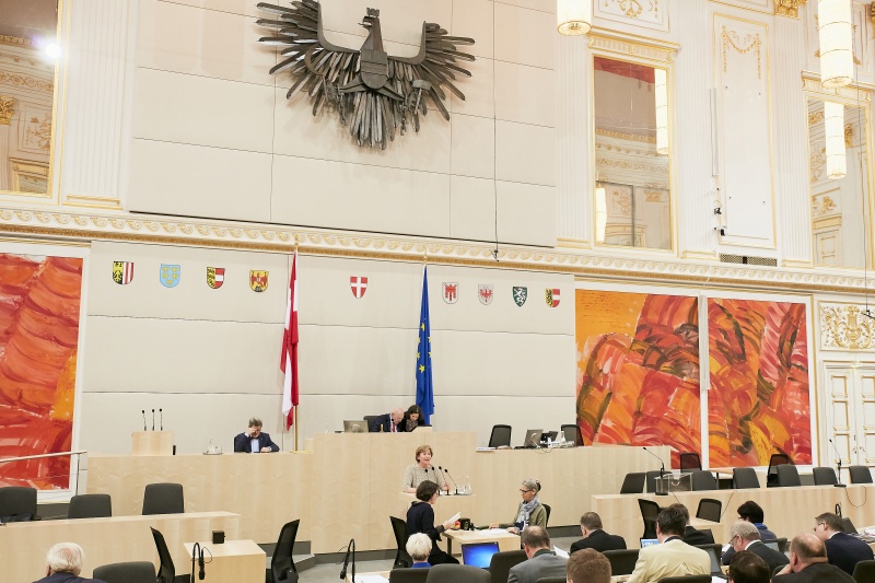 Bundesrätin Sonja Zwazl (V) am Rednerpult