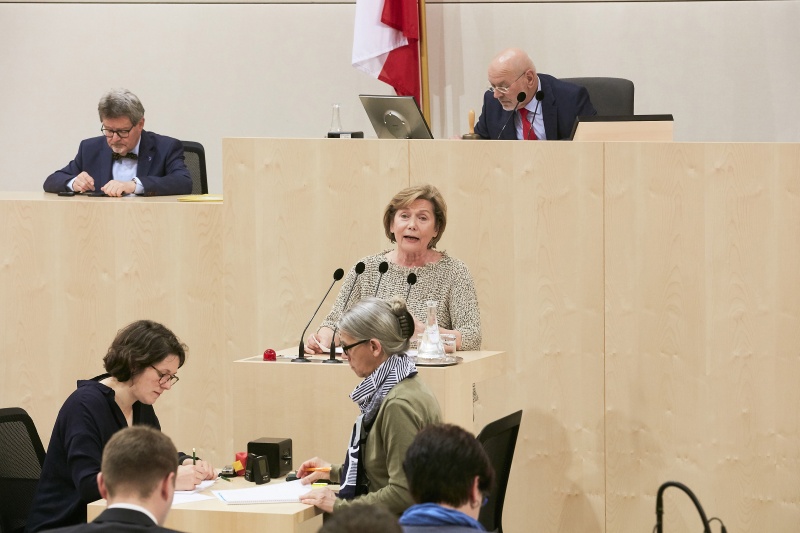 Bundesrätin Sonja Zwazl (V) am Rednerpult