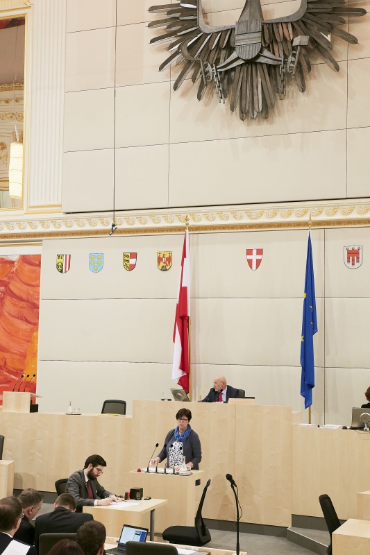 Bundesrätin Rosa Ecker (F) am Rednerpult