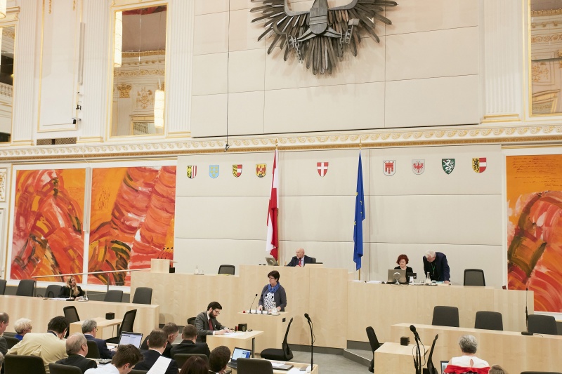 Bundesrätin Rosa Ecker (F) am Rednerpult
