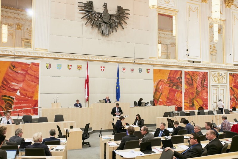 Bundesrat Thomas Schererbauer (F) am Rednerpult