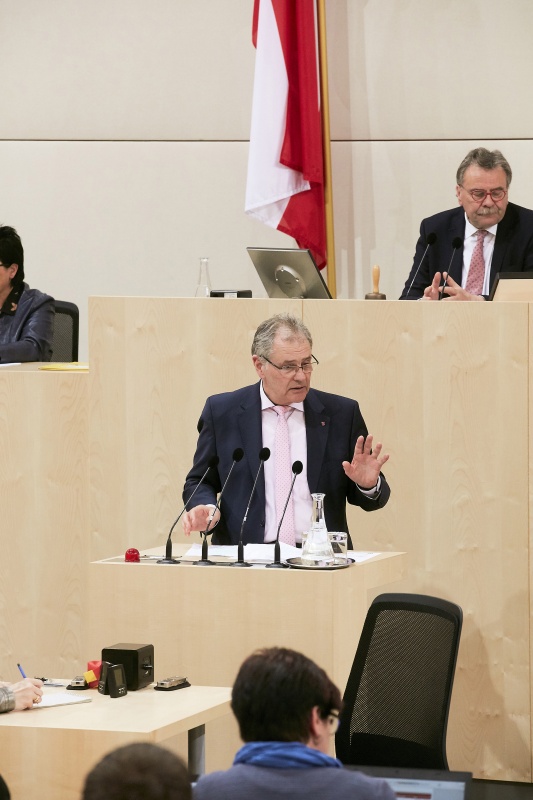 Bundesrat Edgar Mayer (V) am Rednerpult