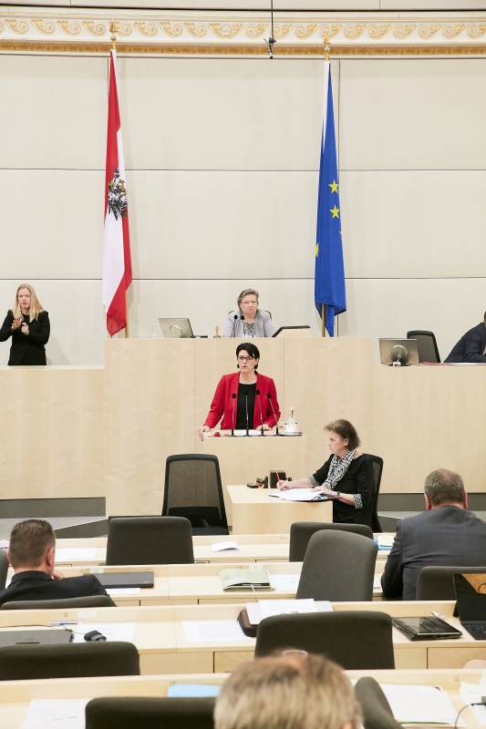 Nationalratsabgeordnete Renate Gruber (S) am Rednerpult. Im Hintergrund am Präsidium Dritte Nationalratspräsidentin Anneliese Kitzmüller (F)