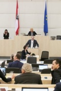 Nationalratsabgeordneter Andreas Kollross (S) am Rednerpult. Im Hintergrund am Präsidium Zweite Nationalratspräsidentin Doris Bures (S)