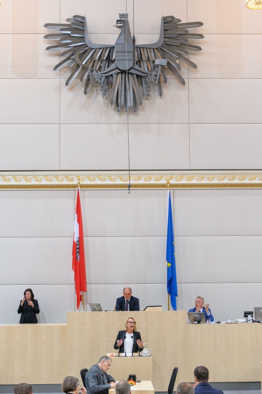 Nationalratsabgeordnete Jessi Lintl (F) am Rednerpult